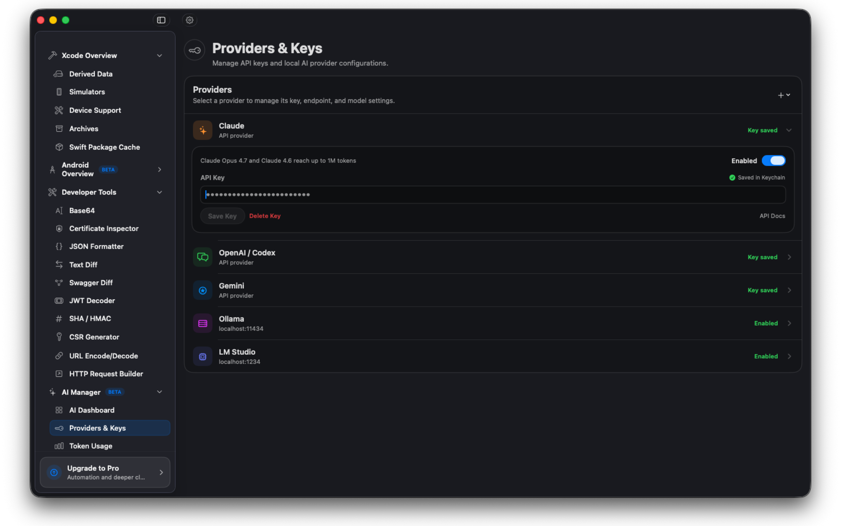 Provider and API key settings